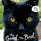 Image for article titled Our favorite books of the year